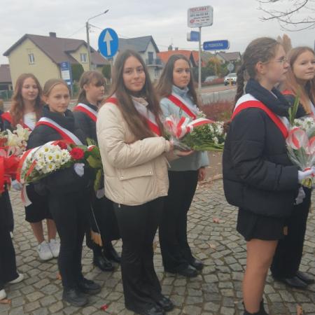 Wyświetl org. rozmiar