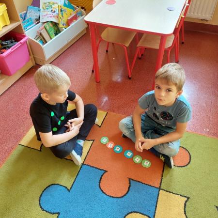 Wyświetl org. rozmiar