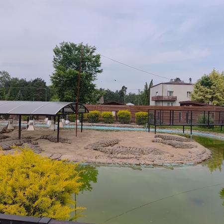 Wyświetl org. rozmiar