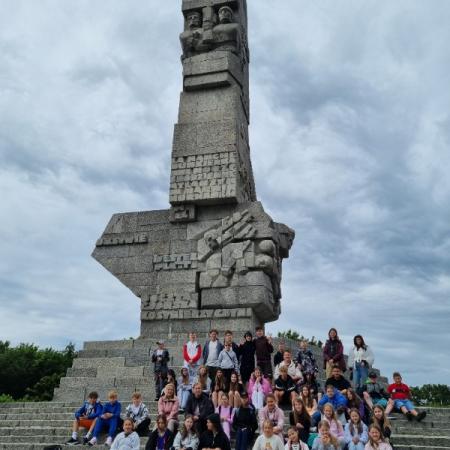 Wyświetl org. rozmiar