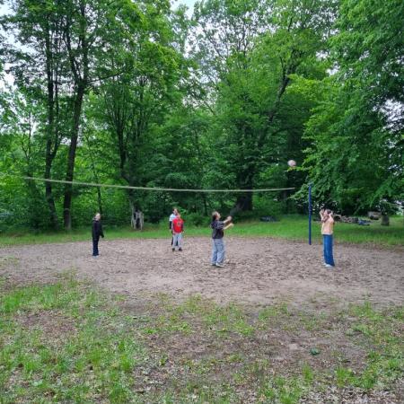 Wyświetl org. rozmiar