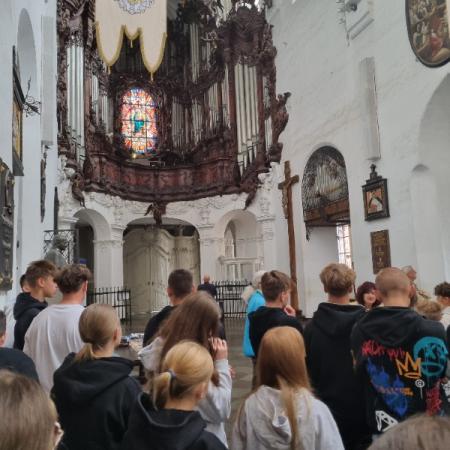 Wyświetl org. rozmiar