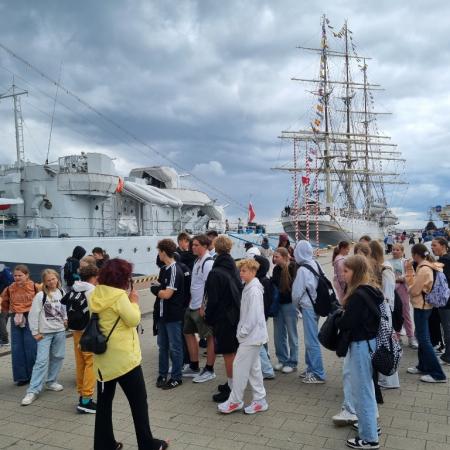 Wyświetl org. rozmiar