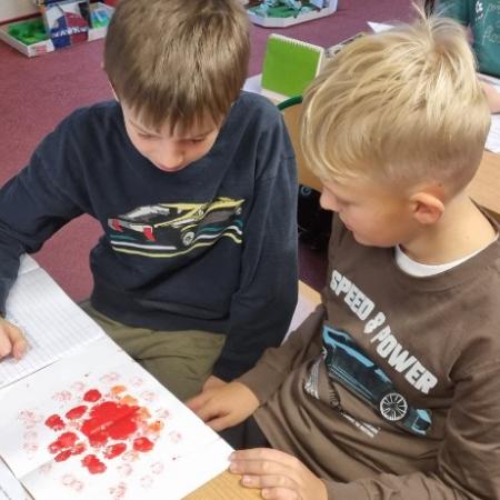 Wyświetl org. rozmiar