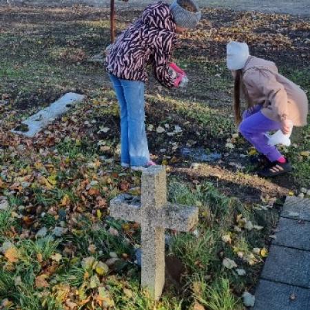 Wyświetl org. rozmiar