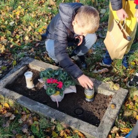 Wyświetl org. rozmiar