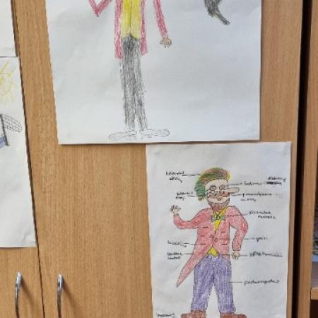 Wyświetl org. rozmiar