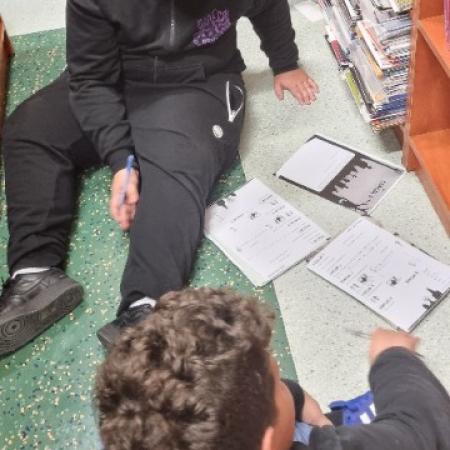 Wyświetl org. rozmiar