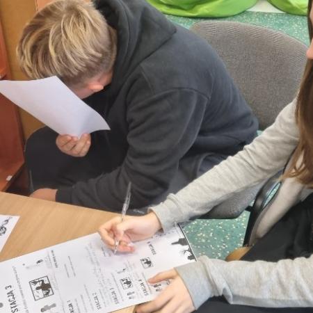 Wyświetl org. rozmiar