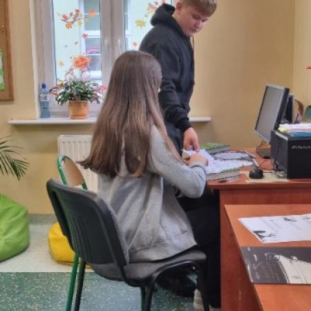 Wyświetl org. rozmiar