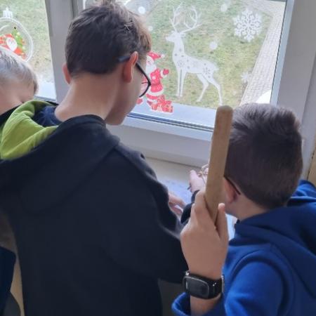 Wyświetl org. rozmiar