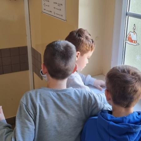 Wyświetl org. rozmiar