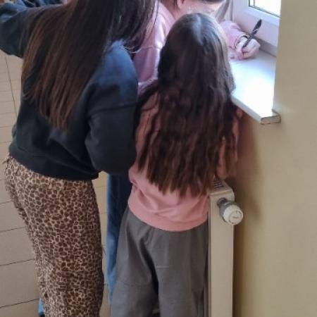 Wyświetl org. rozmiar