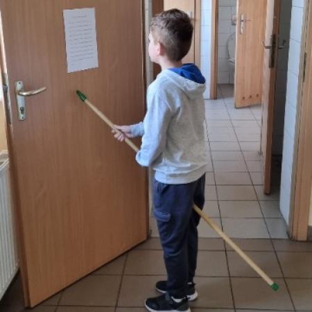 Wyświetl org. rozmiar