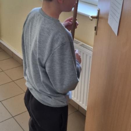 Wyświetl org. rozmiar