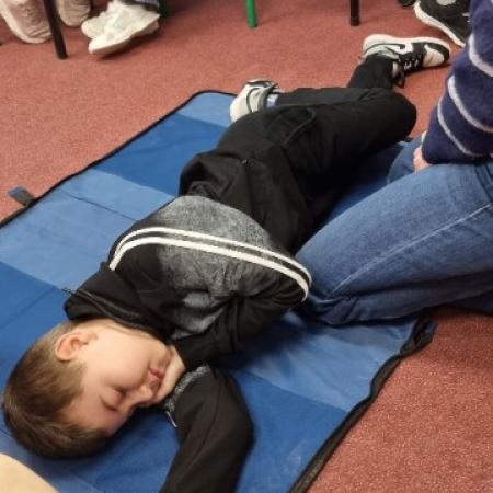 Wyświetl org. rozmiar