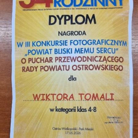 Wyświetl org. rozmiar