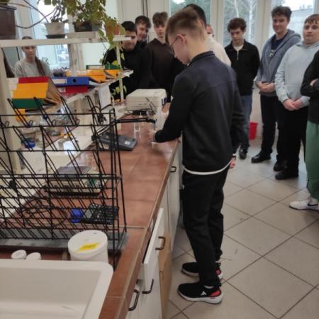 Wyświetl org. rozmiar
