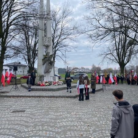 Wyświetl org. rozmiar