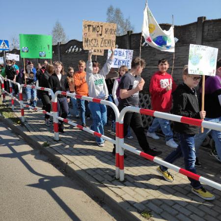 Wyświetl org. rozmiar