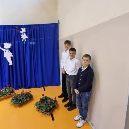 Wyświetl org. rozmiar