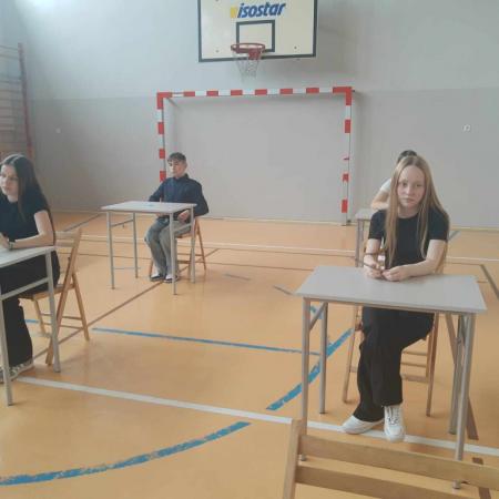 Wyświetl org. rozmiar