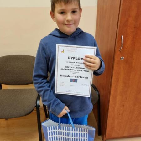 Wyświetl org. rozmiar
