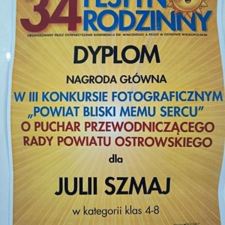 Wyświetl org. rozmiar