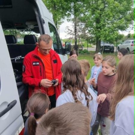 Wyświetl org. rozmiar