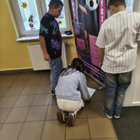 Wyświetl org. rozmiar