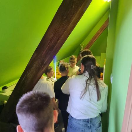 Wyświetl org. rozmiar