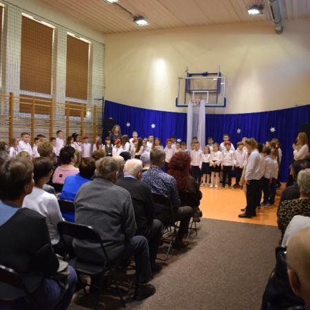 Wyświetl org. rozmiar