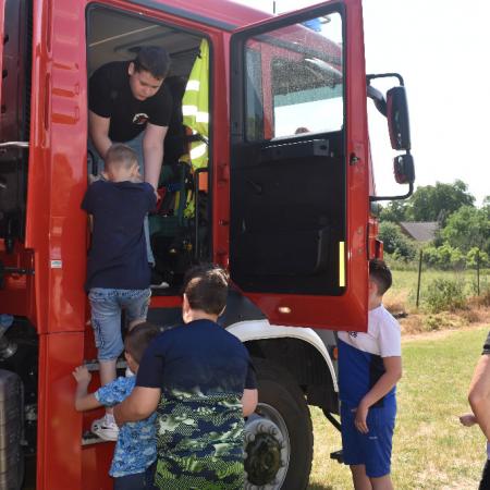 Wyświetl org. rozmiar