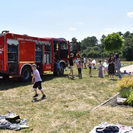 Wyświetl org. rozmiar