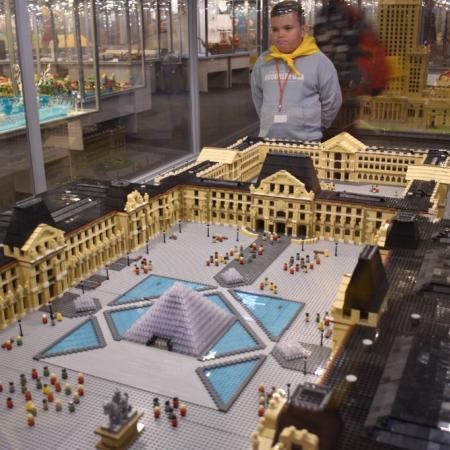 Wyświetl org. rozmiar