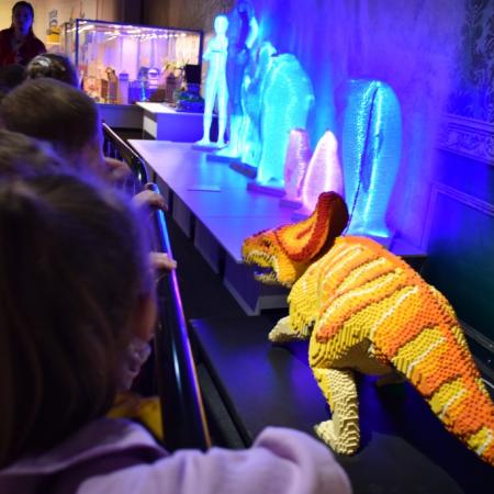 Wyświetl org. rozmiar