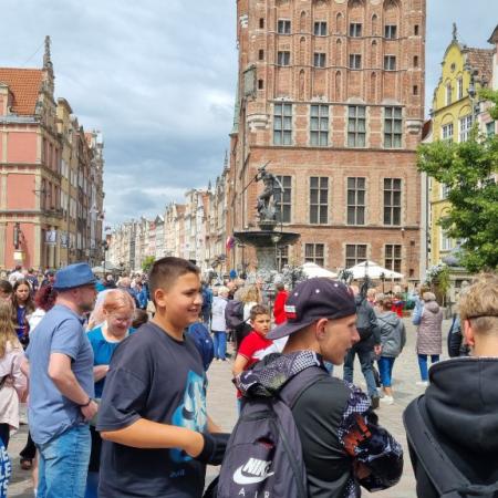 Wyświetl org. rozmiar