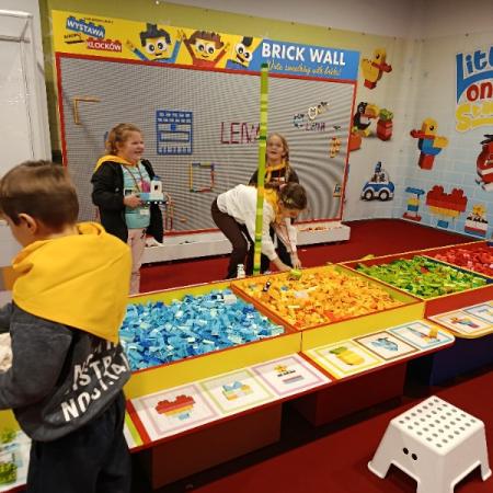 Wyświetl org. rozmiar