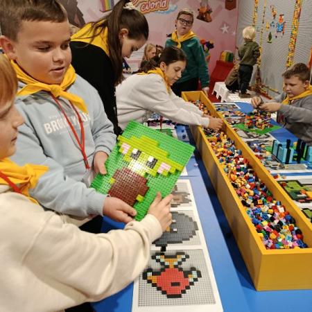 Wyświetl org. rozmiar