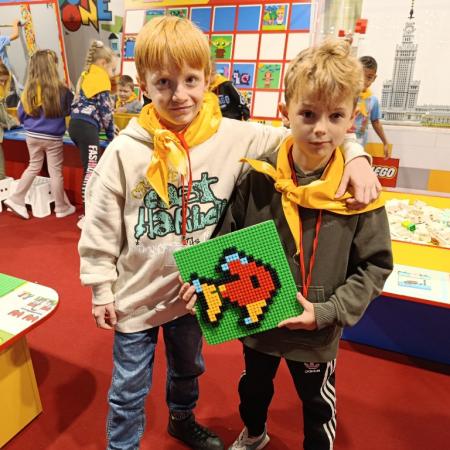 Wyświetl org. rozmiar