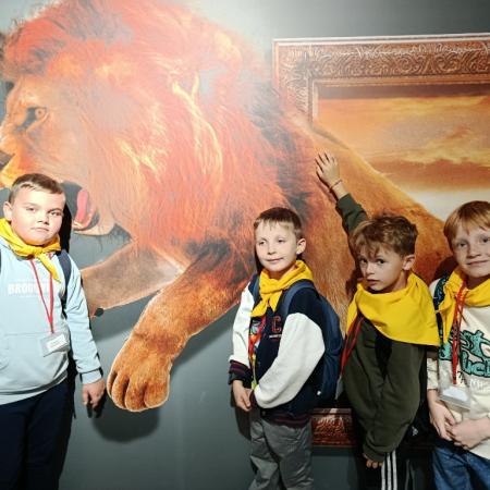 Wyświetl org. rozmiar