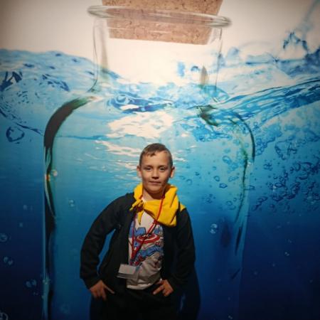 Wyświetl org. rozmiar