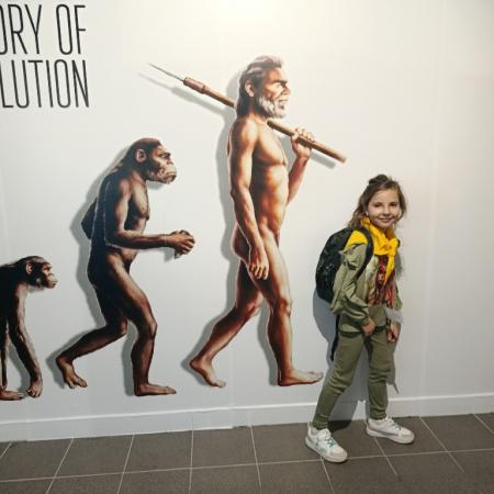 Wyświetl org. rozmiar