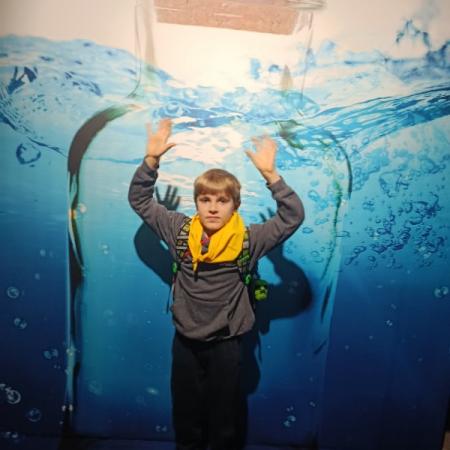 Wyświetl org. rozmiar