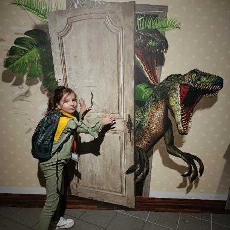 Wyświetl org. rozmiar