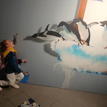 Wyświetl org. rozmiar