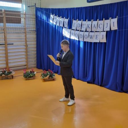 Wyświetl org. rozmiar