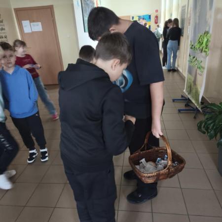 Wyświetl org. rozmiar