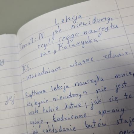 Wyświetl org. rozmiar