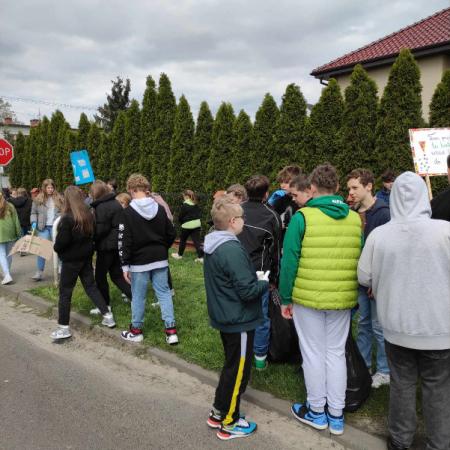 Wyświetl org. rozmiar